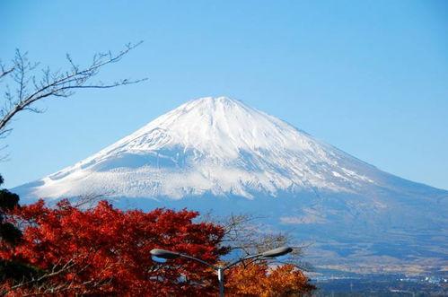 富士山爆料最新消息视频,揭秘神秘视频背后的惊人真相 第1张 富士山爆料最新消息视频,揭秘神秘视频背后的惊人真相 第1张